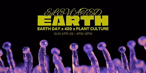 ELEVATED EARTH EXPERIENCE