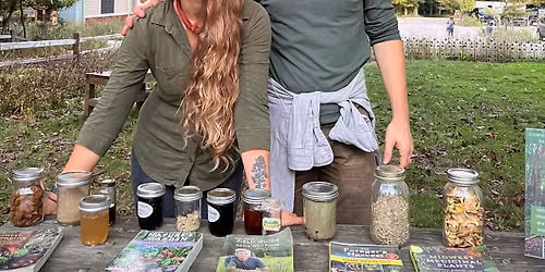 Wild Food Foraging with IYE Wellness