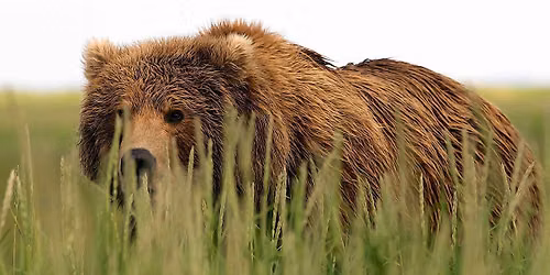 Discovery: Among Wild Predators With Wildlife Filmmaker Casey Anderson - Official