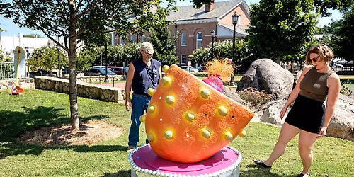 Parking Mick Adams And The Stones Holiday Show