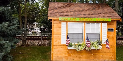 Pre-Thanksgiving Market