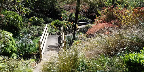 Plant diversity & human impacts on endangered plants - Guided Walk