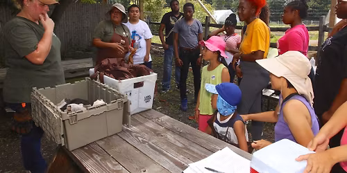 Compost Seed Ball Workshop