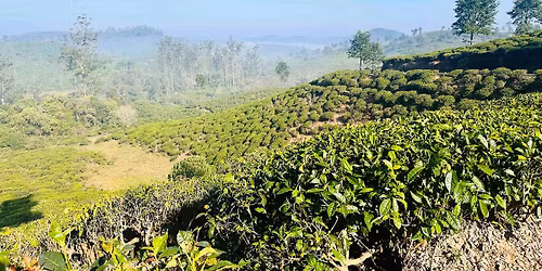 Western Ghats Odyssey: Kochi to Goa Motorcycle tour