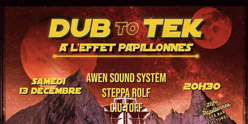 Soirée DUB TO TEK !!!