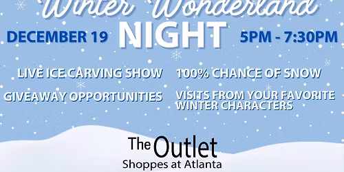 Winter Wonderland Night