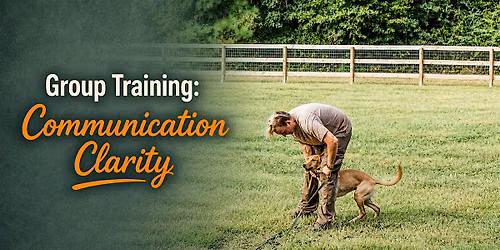 Group Training Dog Communication Clarity | Gainesville, GA