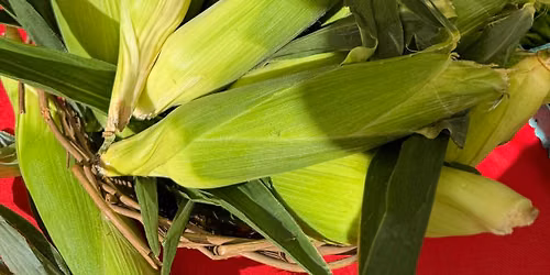 Yardley Farmers\u2019 Market Summer Market