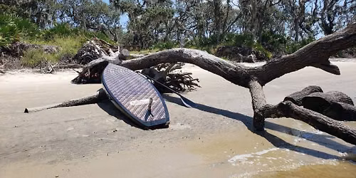 Driftwood Beach on the Matanzas