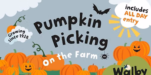 Pumpkin Picking on the Farm