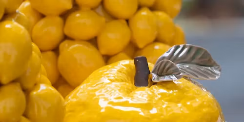 Bl\u00fchendes Schlebusch