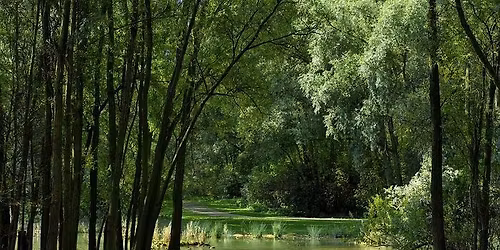 Balade naturaliste : Le mus\u00e9e de la nature