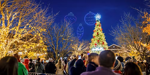 Holiday Tree Lighting Celebration