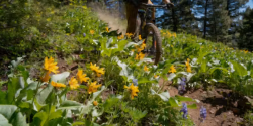 Free Guided Bike Ride