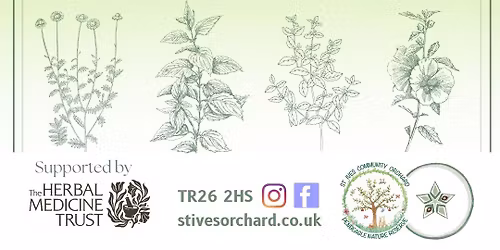 Plant Medicines: Supporting Digestion