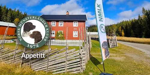 Skogsfugl- og fullkombinertpr\u00f8ve p\u00e5 Stange \/\/ Norsk M\u00fcnsterl\u00e4nderklubb