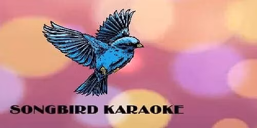 SongBird Karaoke @ TailGater's Pub