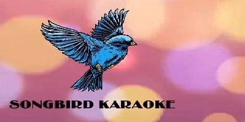 SongBird Karaoke @ TailGater's Pub