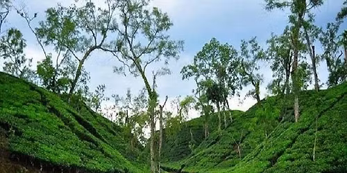 \u09ae\u09be\u09a4\u09cd\u09b0 \u09e9\u09ef\u09ef\u09ef\u09f3 \u09b8\u09be\u09aa\u09cd\u09a4\u09be\u200c\u09b9\u09bf\u0995 \u099b\u09c1\u099f\u09bf\u09a4\u09c7 \u09a6\u09c1\u099f\u09bf \u09aa\u09be\u09a4\u09be \u098f\u0995\u099f\u09bf \u0995\u09c1\u0981\u09dc\u09bf\u09b0 \u09a6\u09c7\u09b6 \u09b8\u09bf\u09b2\u09c7\u099f \u09ad\u09cd\u09b0\u09ae\u09a3