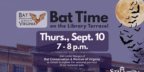 Bat Time on the Terrace!