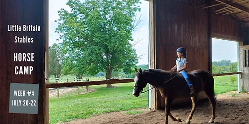 Summer Horse Camp: Week #4