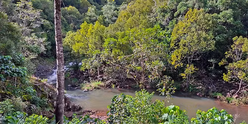 Marom Creek Planting Day, NSW