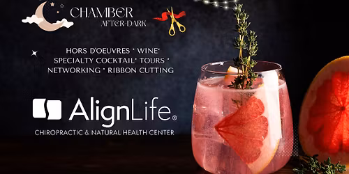 CHAMBER AFTER DARK \ud83c\udf77\ud83c\udf19