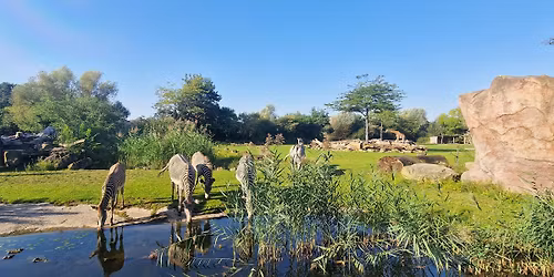Fell & Federn erleben - bei den Entdeckertagen im Zoo Leipzig