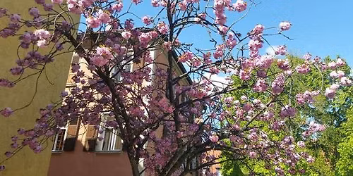 8. Offenes Steampunk\/Viktorianisches\/Schwarze Szene Picknick Regensburg