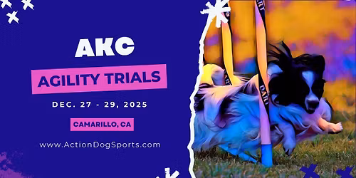 BCCGLA & GLASWC AKC Agility Trials