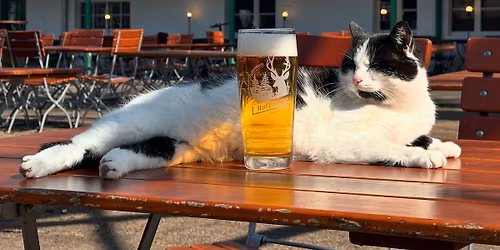 Himmelfahrt auf der Hofewiese - mit Live-Musik!