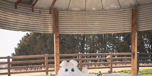 4th annual - Easter Bunny Event! \ud83d\udc30