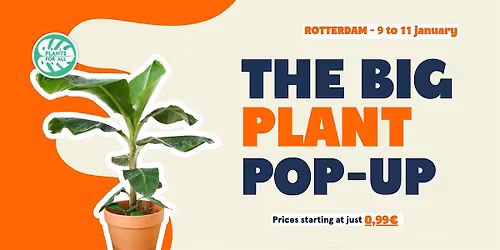 The Big Plant Pop-up - Rotterdam