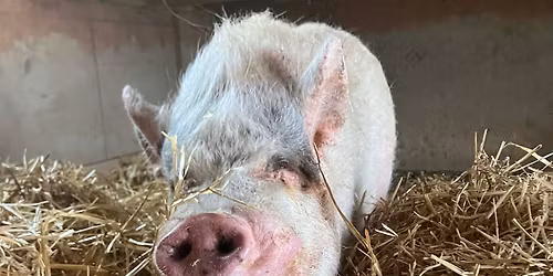 September 19th 2026 Open Barn Day