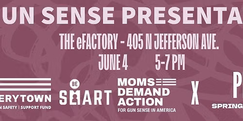 Gun Sense Presentation with PFLAG Springfield\/SWMO and Moms Demand Action