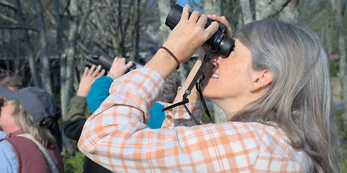 Birding for Beginners