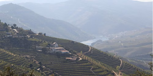 Intro to Portuguese Wines! @ Living Room Wines