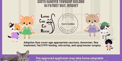 Small Business Caturday Adoption Event