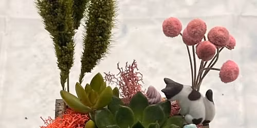 Succulent Treasure Box Workshop
