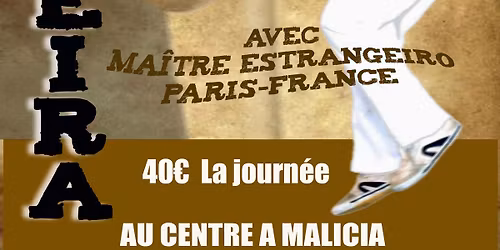 stage de capoeira tous niveaux 