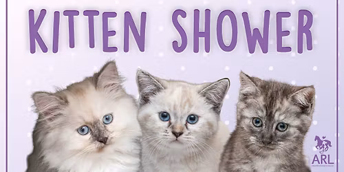 ARL Kitten Shower