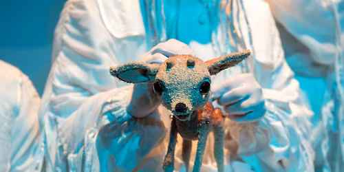 PREMIER\u0102 Poveste de iarn\u0103