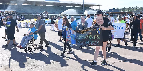 31st Annual DSALA T21 Walk & Festival