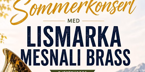 Sommerkonsert