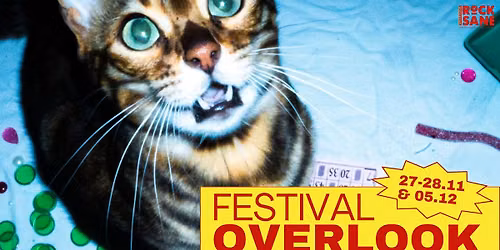 FESTIVAL OVERLOOK