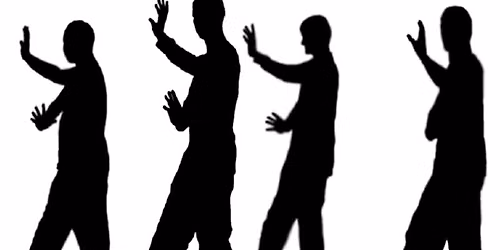 Bagua Circle Walking for Health (Intro to Baguazhang)