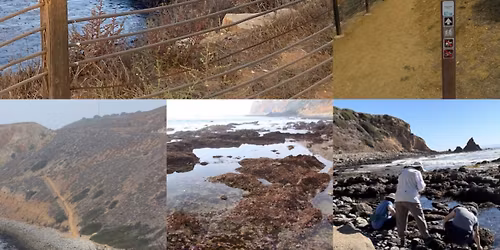 Docent Guided Nature Walk at Pelican Cove Park