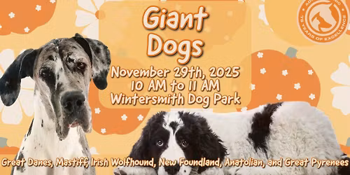 Giant Dog Meet Up