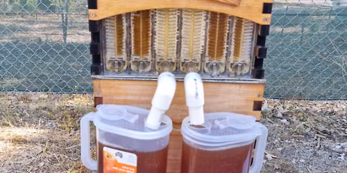 Flow Hive Management