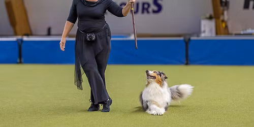 VDH DM DogDancing & Internationales Turnier Dortmund,